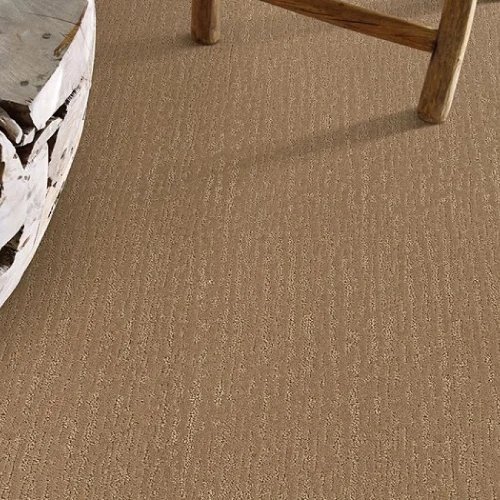 Modern carpet flooring info provided by Family Flooring your local area flooring store